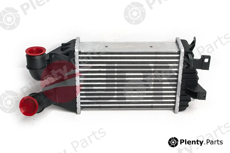 JPN 60C9339-JPN — Charge Air Cooler