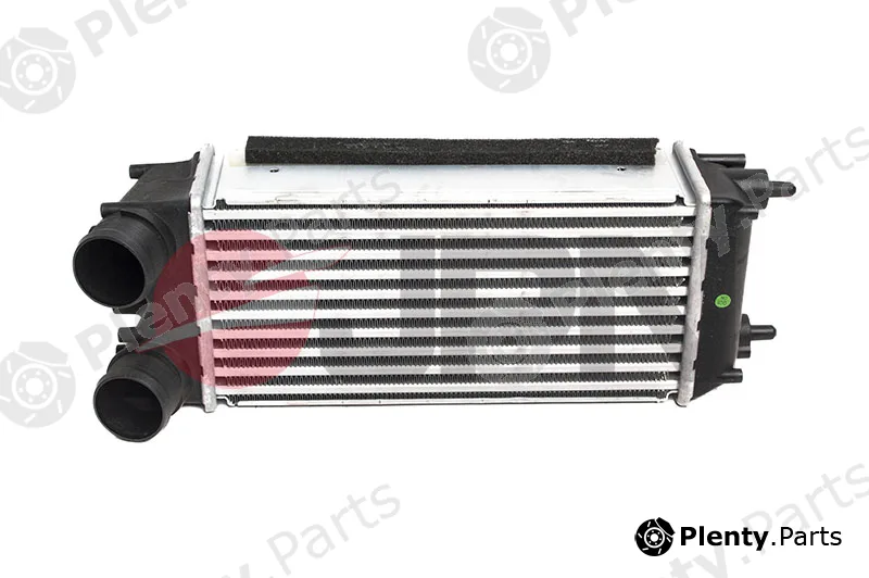 JPN 60C9286-JPN — Charge Air Cooler