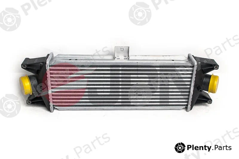JPN 60C9306-JPN — Charge Air Cooler