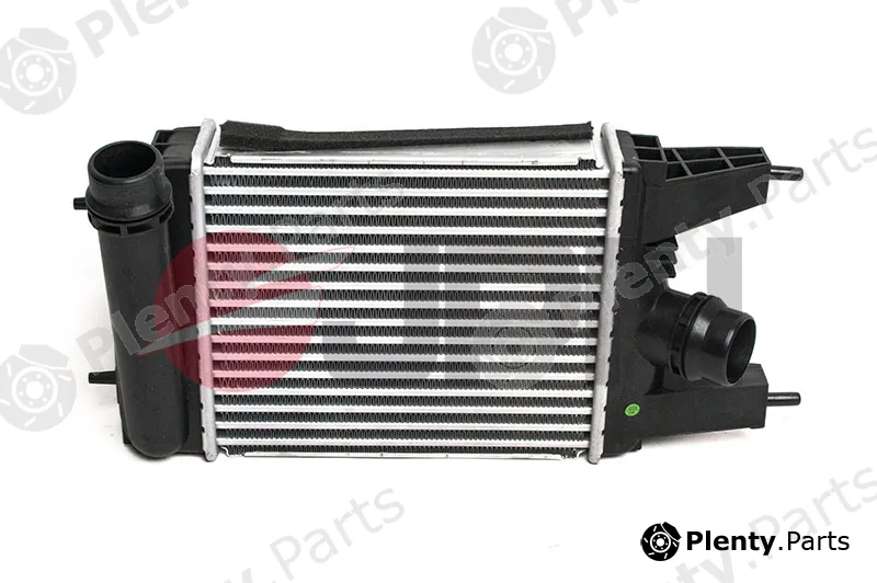 JPN 60C9332-JPN — Charge Air Cooler