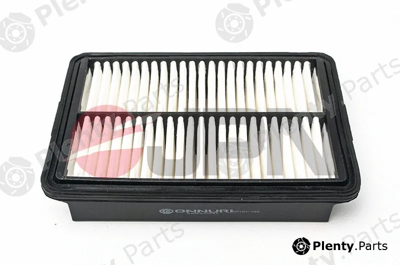 JPN 20F0542-JPN — Air Filter