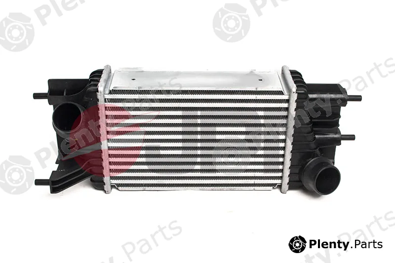 JPN 60C9333-JPN — Charge Air Cooler