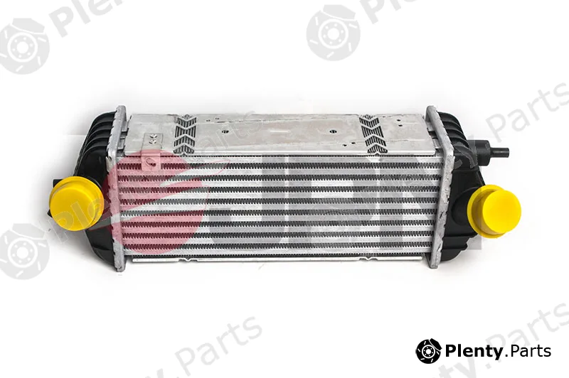 JPN 60C9303-JPN — Charge Air Cooler