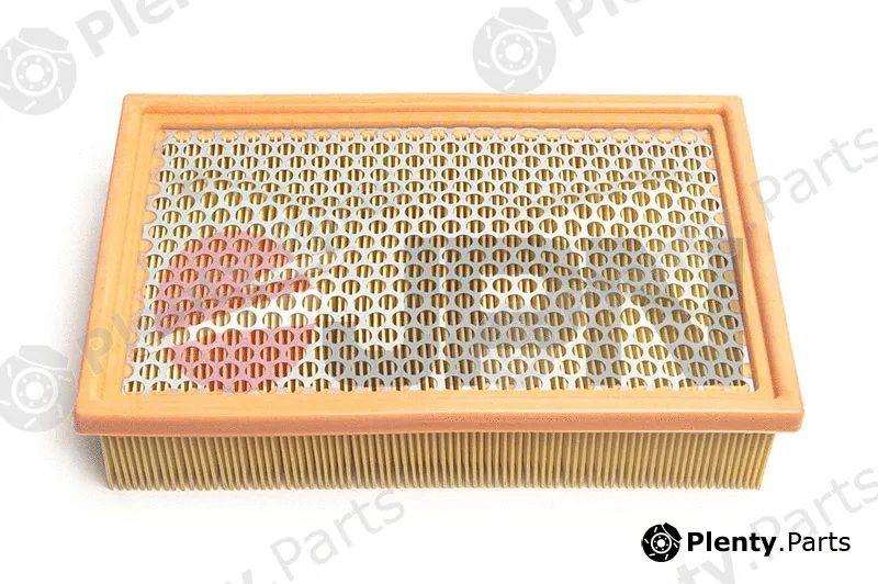JPN 20F0009-JPN — Air Filter