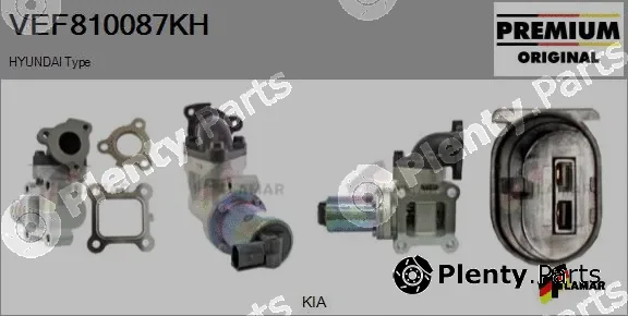 Flamar VEF810087KH — EGR Valve
