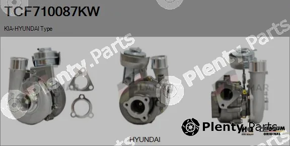 Flamar TCF710087KW — Charger, charging (supercharged/turbocharged)