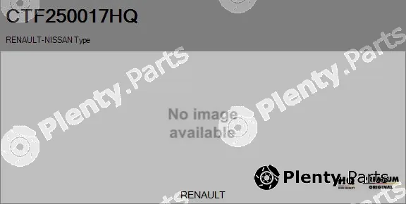 Flamar CTF250017HQ — Core assembly, turbocharger