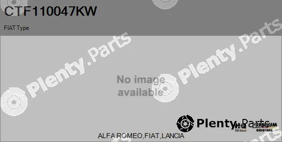 Flamar CTF110047KW — Core assembly, turbocharger