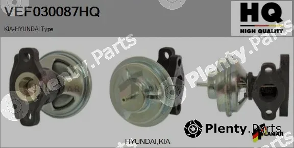 Flamar VEF030087HQ — EGR Valve