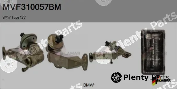 Flamar MVF310057BM — EGR Module