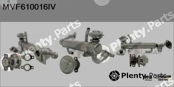 Flamar MVF610016IV — EGR Module