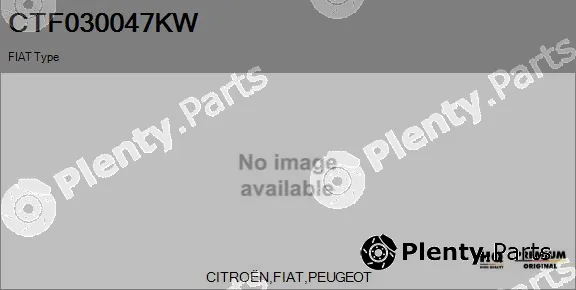 Flamar CTF030047KW — Core assembly, turbocharger