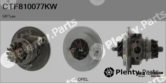 Flamar CTF810077KW — Core assembly, turbocharger