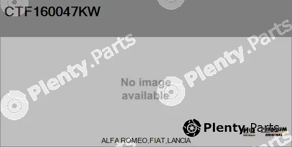Flamar CTF160047KW — Core assembly, turbocharger