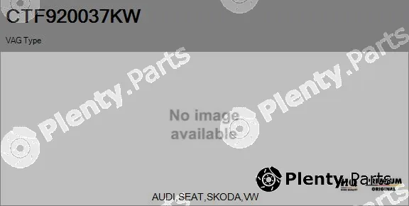 Flamar CTF920037KW — Core assembly, turbocharger