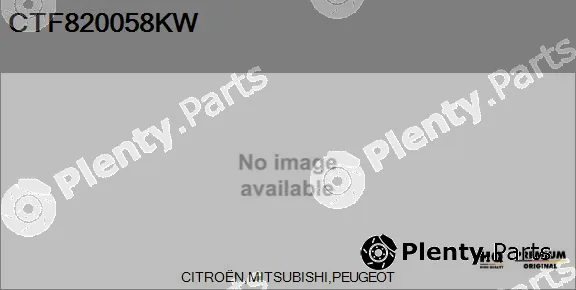 Flamar CTF820058KW — Core assembly, turbocharger