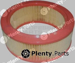 Professional Parts 24433279 — Air Filter