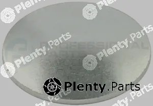 Professional Parts 21433904 — Locking Cover, camshaft