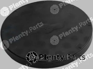 Professional Parts 21430381 — Locking Cover, camshaft