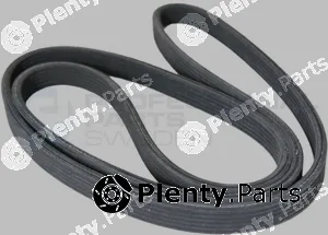 Professional Parts 125-1250G — V-Ribbed Belt