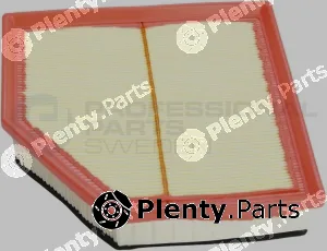 Professional Parts 24435344 — Air Filter