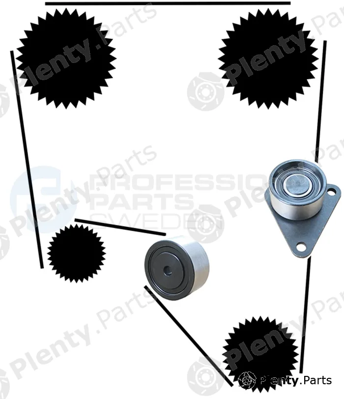 Professional Parts 21430021 — Timing Belt Kit