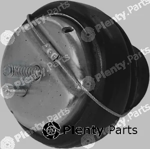 Professional Parts 62434254 — Mounting, engine
