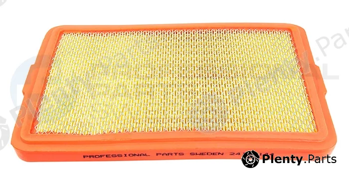 Professional Parts 24136144 — Air Filter
