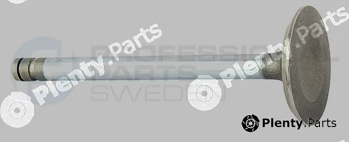 Professional Parts 23434570 — Intake Valve