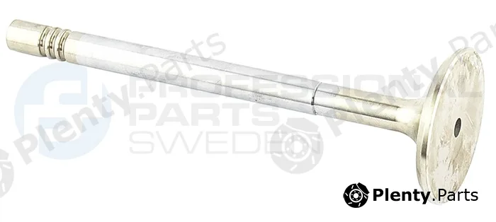 Professional Parts 23346427 — Intake Valve