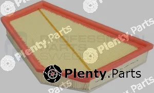 Professional Parts 24431485 — Air Filter