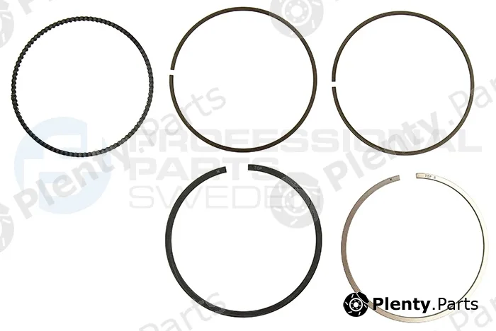 Professional Parts 21343549 — Piston Ring Kit