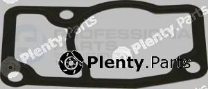 Professional Parts 21342224 — Seal, thermostat