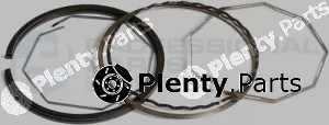 Professional Parts 21340513 — Piston Ring Kit
