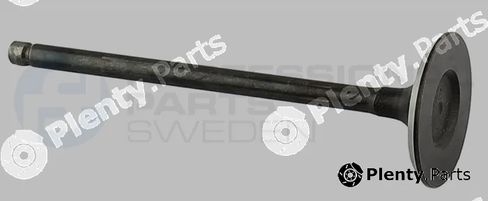 Professional Parts 23434781 — Intake Valve