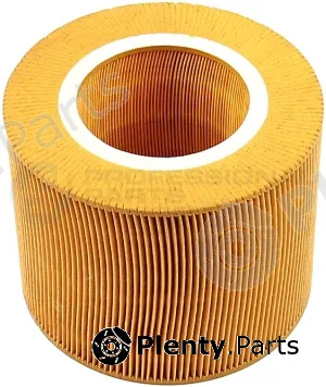 Professional Parts 24342491 — Air Filter