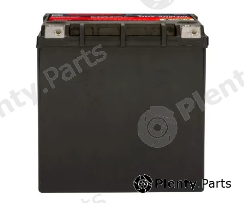Odyssey Battery ODS-AGM30L — Starter Battery Tecnology Pure lead