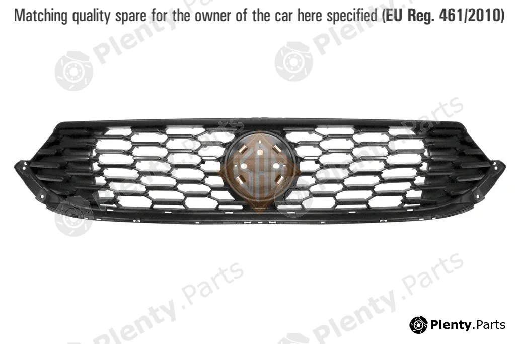 ISAMSpA 0161510 — Radiator Grille RADIATOR GRILL
