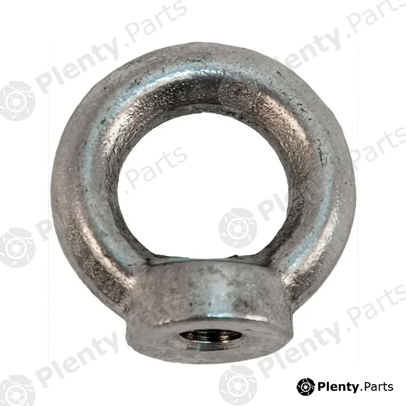 Frielitz 004000653 — Lifting Eye Nut, lashing recess