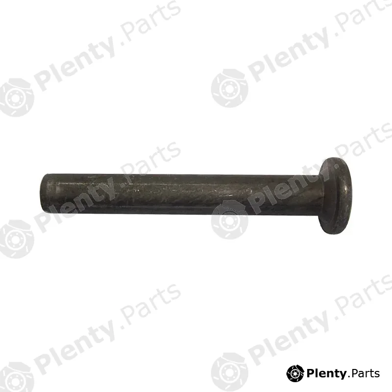 Frielitz 008000531 — Pendulum Bolt, pendulum latch