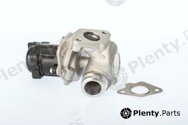 BorgWarner (Wahler) 711021D/1 — EGR Valve