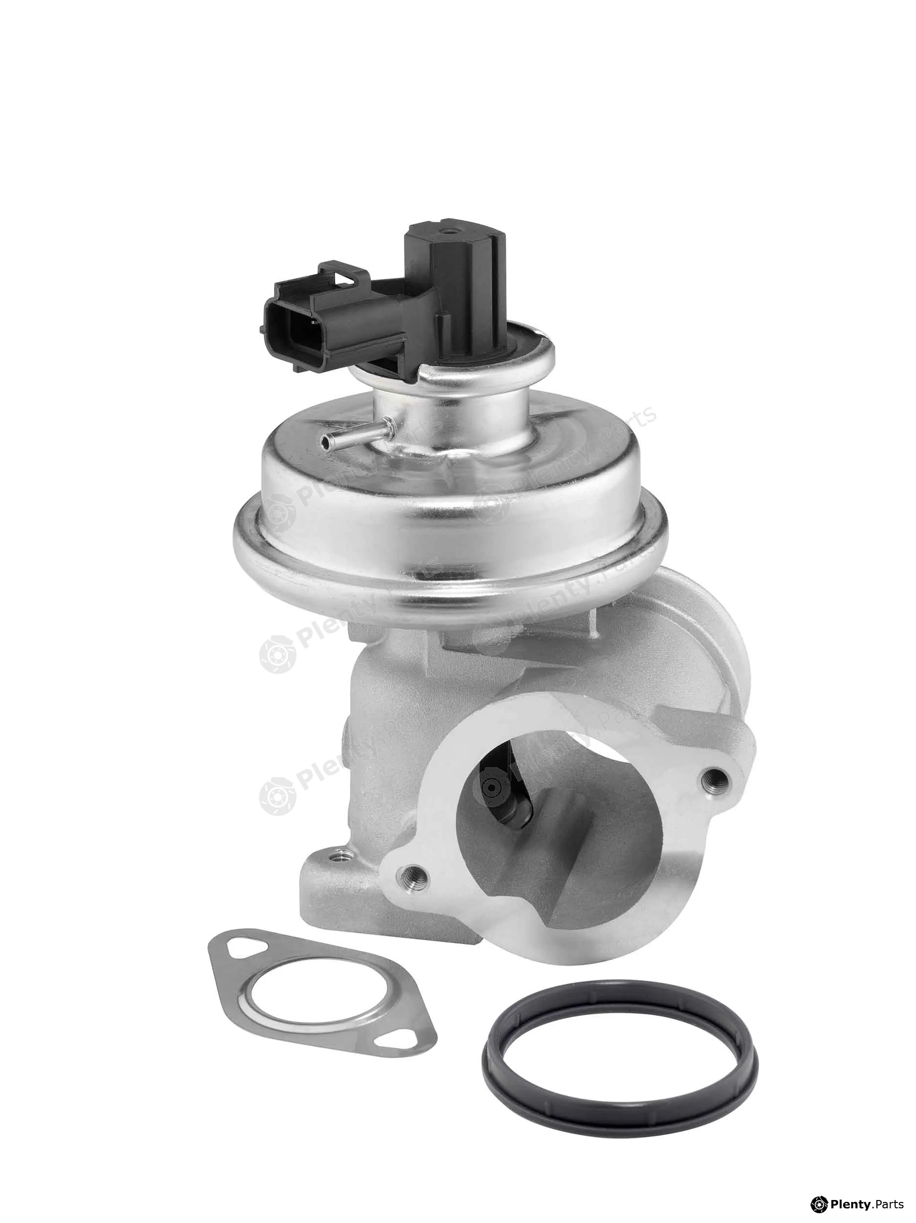 BorgWarner (Wahler) 712064D — EGR Valve