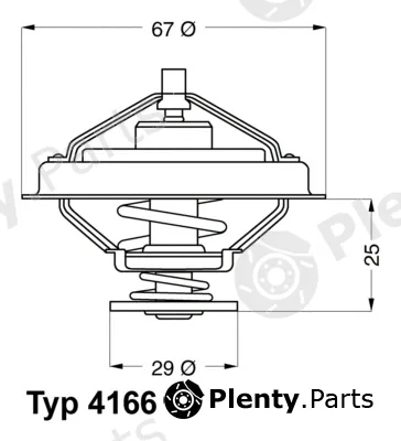 BorgWarner (Wahler) 4166.79D — Thermostat, coolant