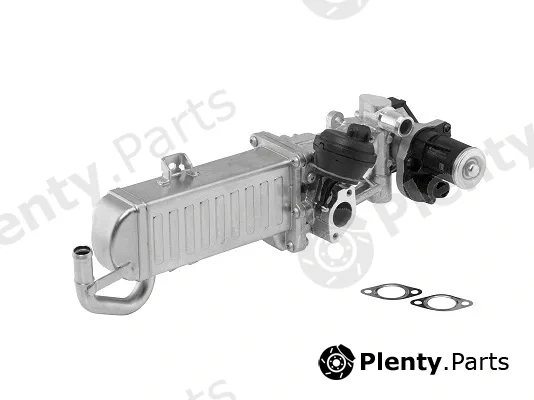 BorgWarner (Wahler) 710861D — EGR Module OE-Version/Genuine