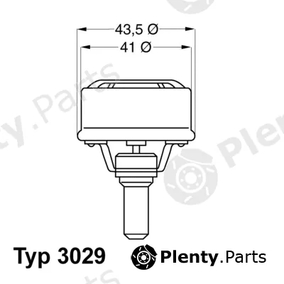 BorgWarner (Wahler) 3029.89 — Thermostat, coolant