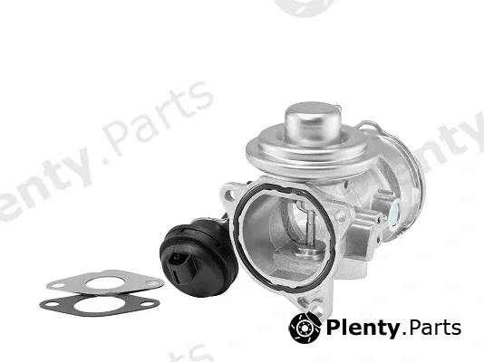 BorgWarner (Wahler) 7372D — EGR Valve BW Original