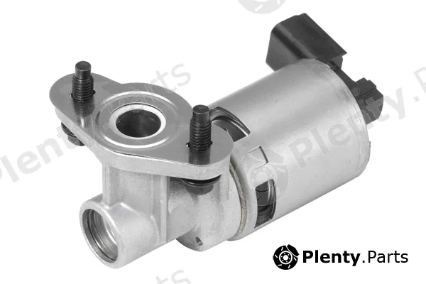 BorgWarner (Wahler) 710634D — EGR Valve