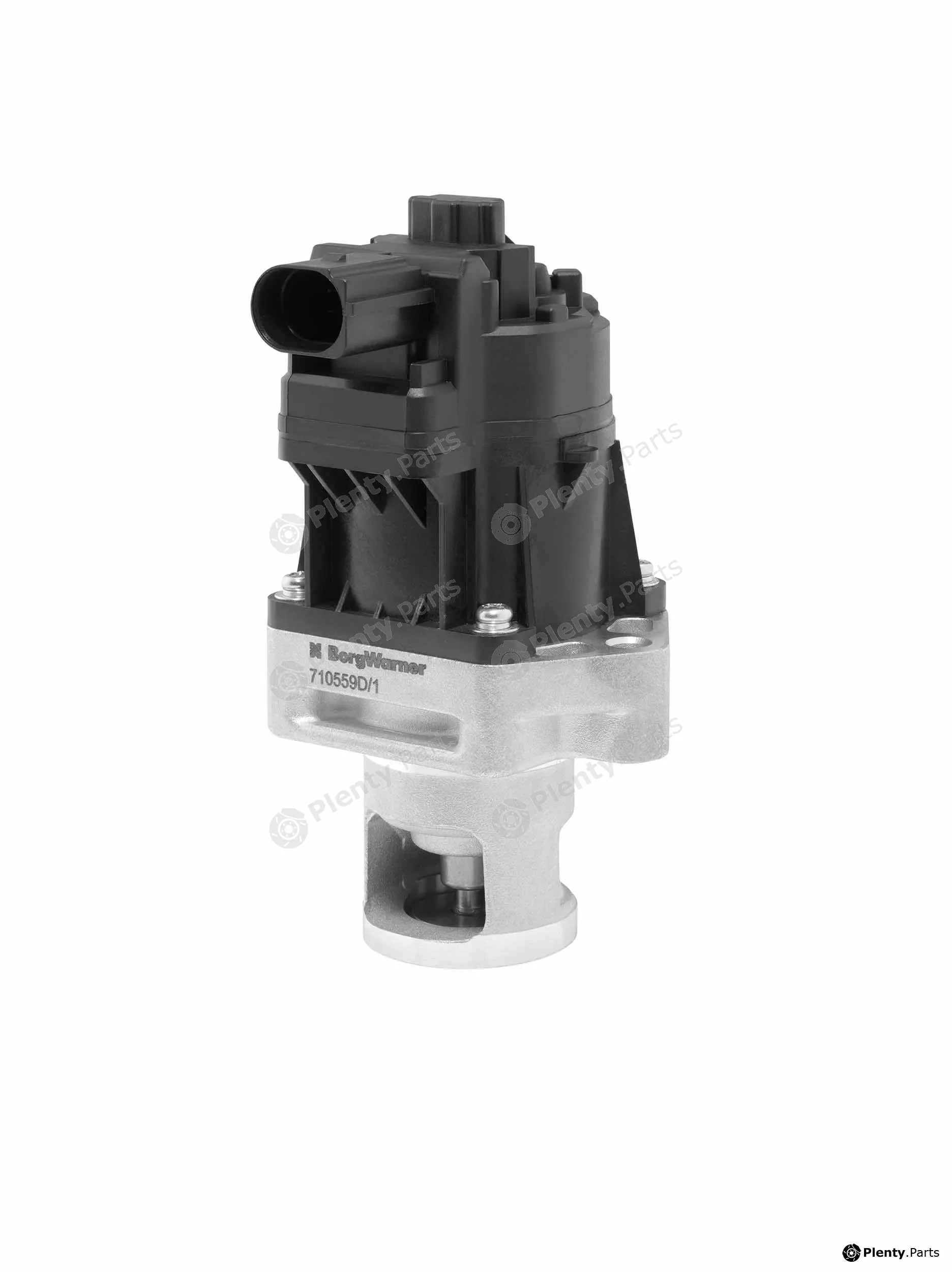 BorgWarner (Wahler) 710559D — EGR Valve