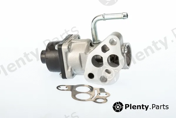 BorgWarner (Wahler) 710935D — EGR Valve