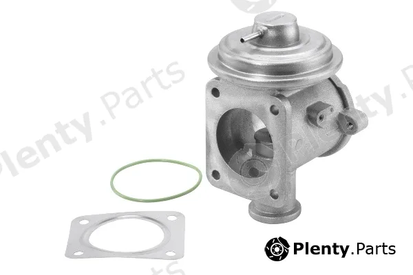 BorgWarner (Wahler) 710924R — EGR Valve